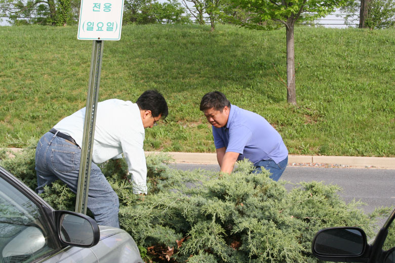 050308-clean (9).jpg